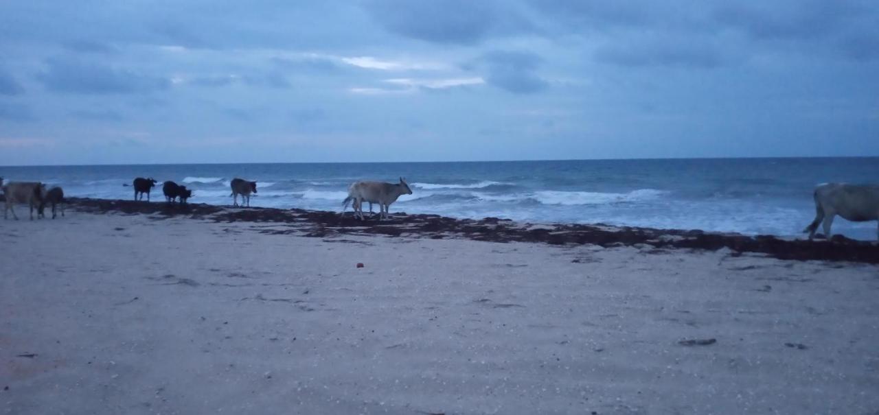 Portadosoljeri Hotel Jijoca de Jericoacoara Buitenkant foto