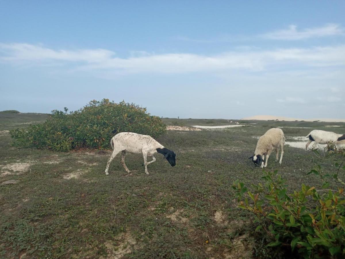 Portadosoljeri Hotel Jijoca de Jericoacoara Buitenkant foto